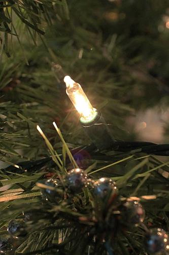 Christmas light in tree