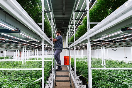 New Growth Horizon Medical Marijuana Facility