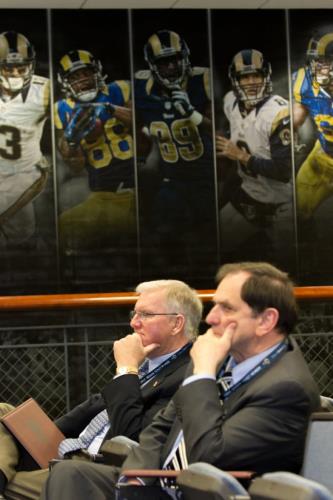 rams_stem